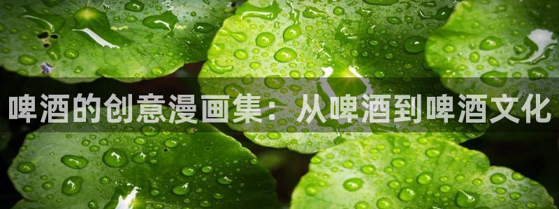 无删减羞羞漫画免费看：啤酒的创意漫画集：从啤酒到啤酒文化
